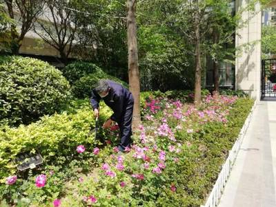 致中海錦苑業戶朋友們 12月家書與綠化管理溫馨提示