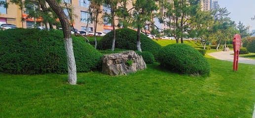 臨沂市臥虎山公園 加強綠化精致管養，扮靚城區迎五一