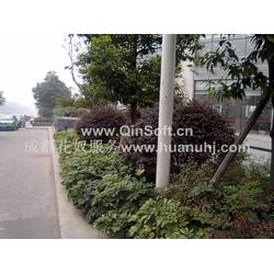 園林養護全產業鏈解析 從批發供應、廠家生產到綠化管理