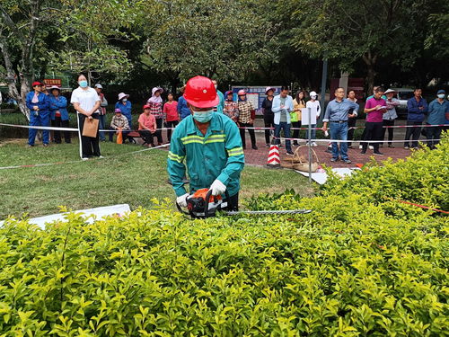 以賽促技強技能，匠心筑綠美貴港——貴港市城市管理監督局成功舉辦園林綠化技能競賽